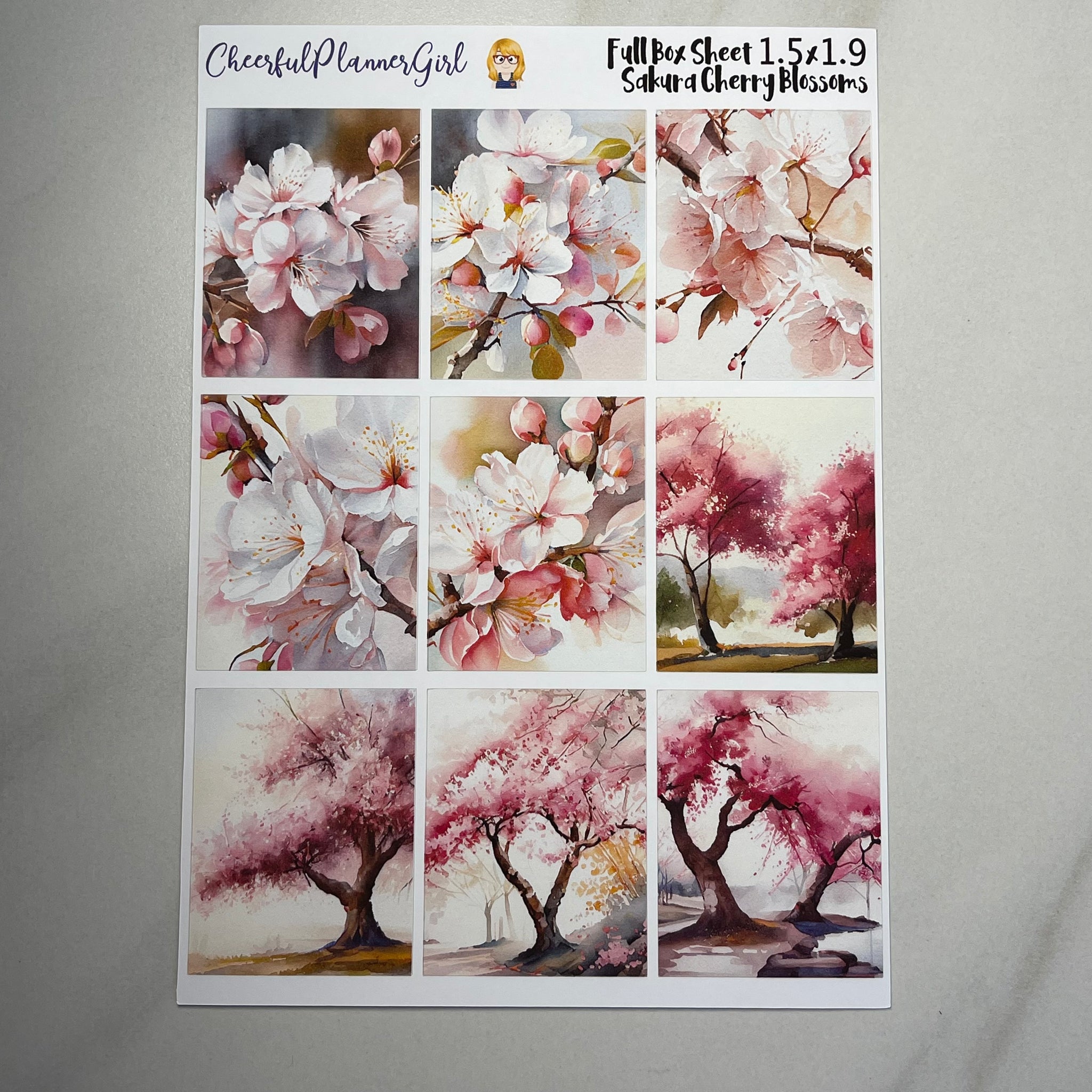 Sakura Cherry Blossoms Nothing But Full Boxes