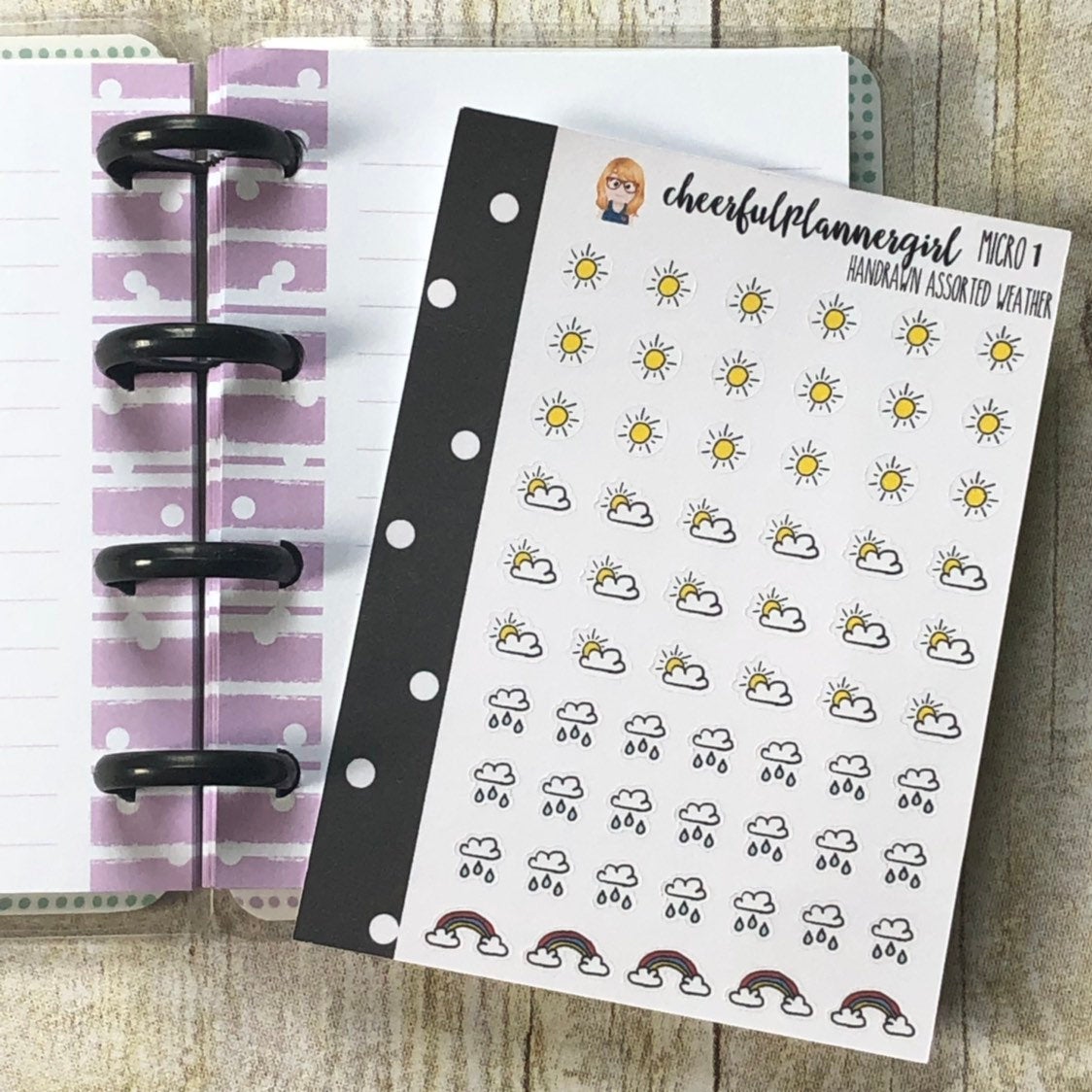 Itty Bitty Hand Drawn Assorted Weather Micro Planner Stickers
