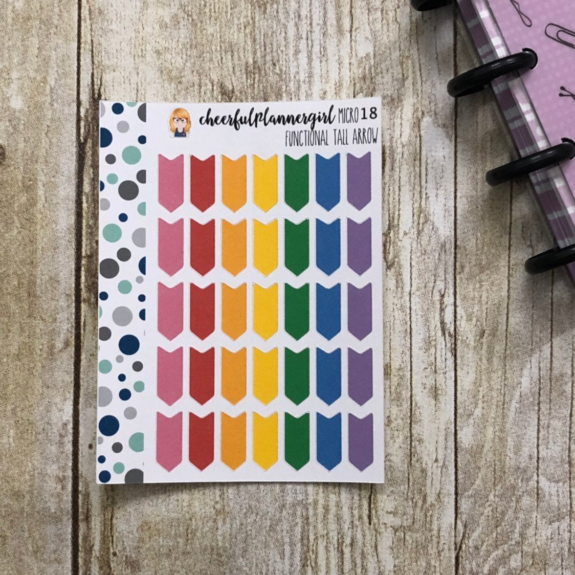 Rainbow Functional Tall Arrow Planner Stickers