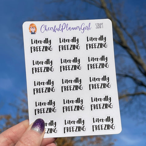 Literally Freezing Stickers Script Planner Stickers