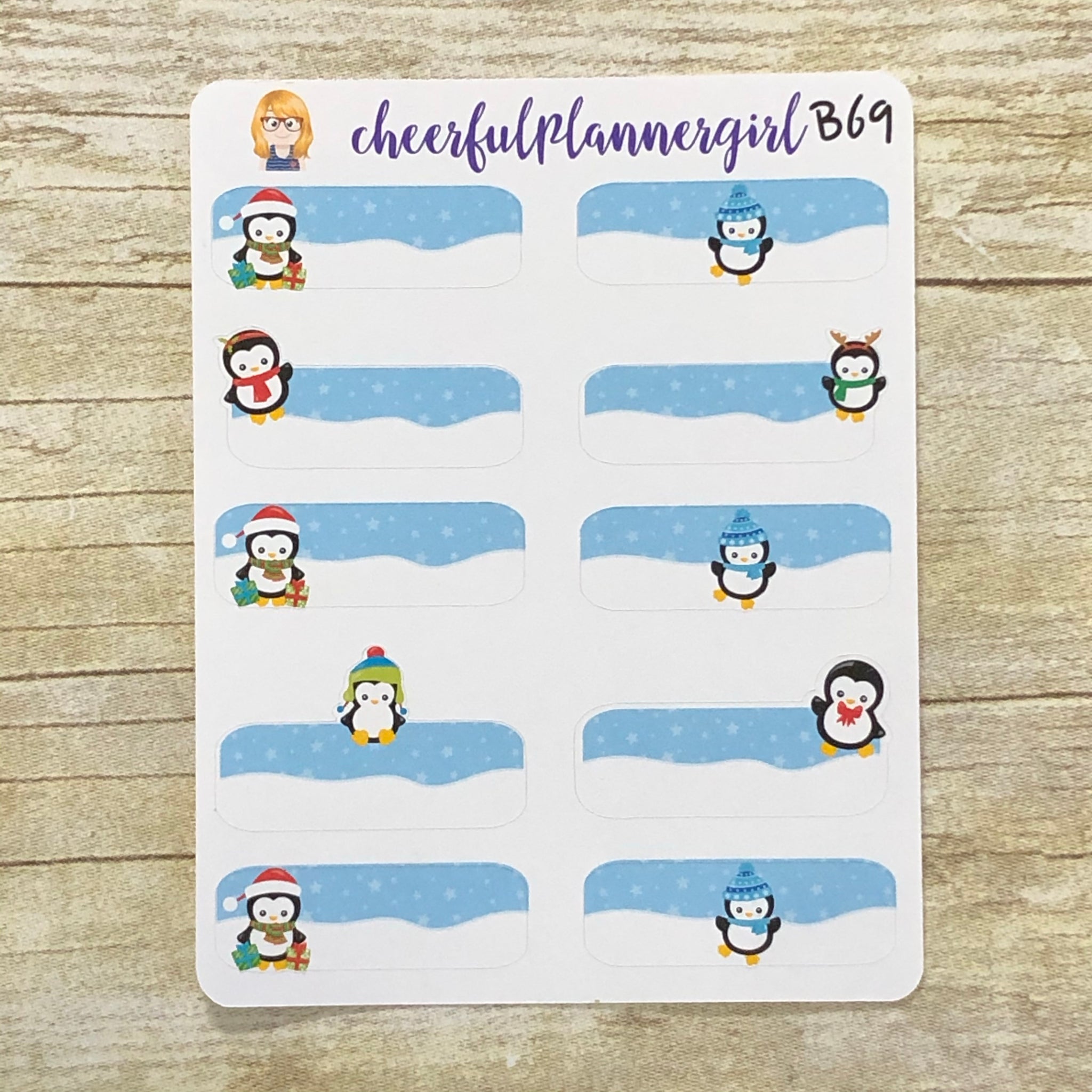 Penguin Boxes Planner Stickers