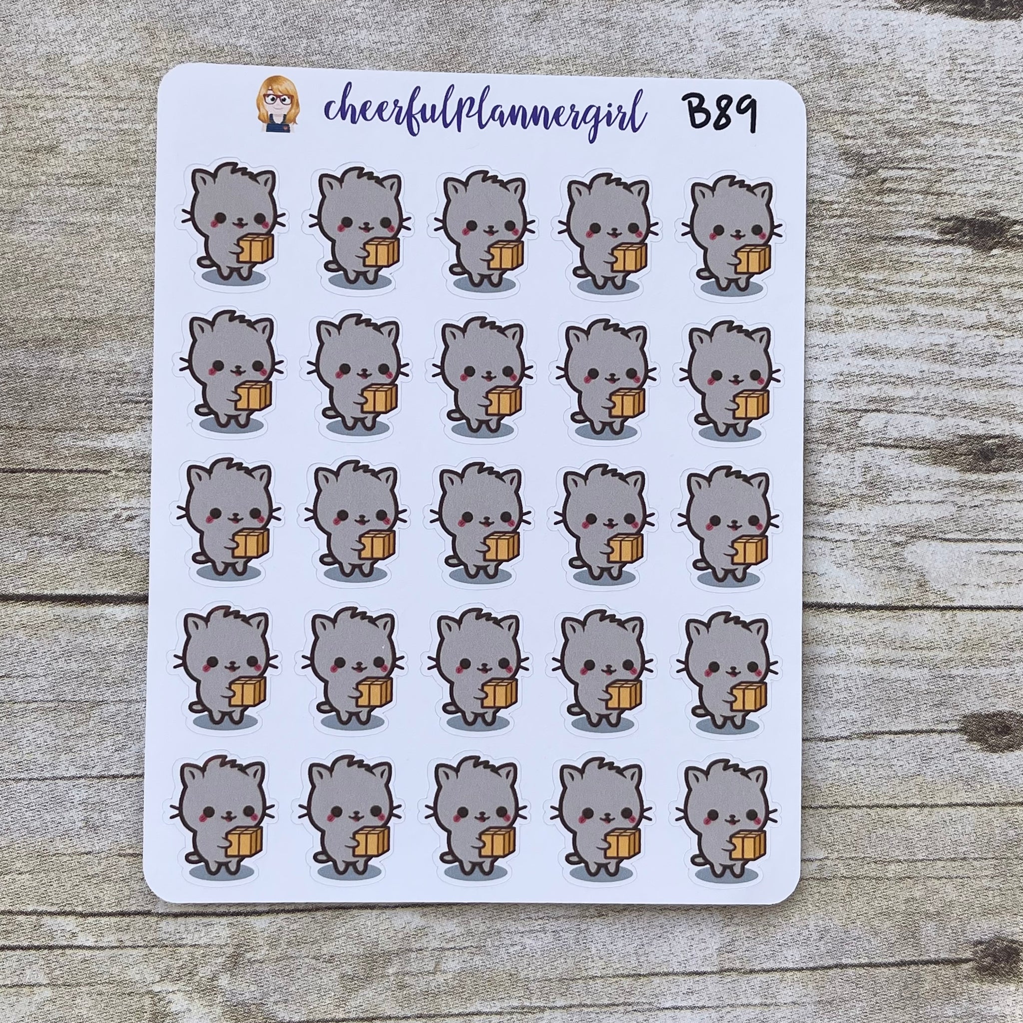 Gray Kitten Holding Mail Package Planner Stickers